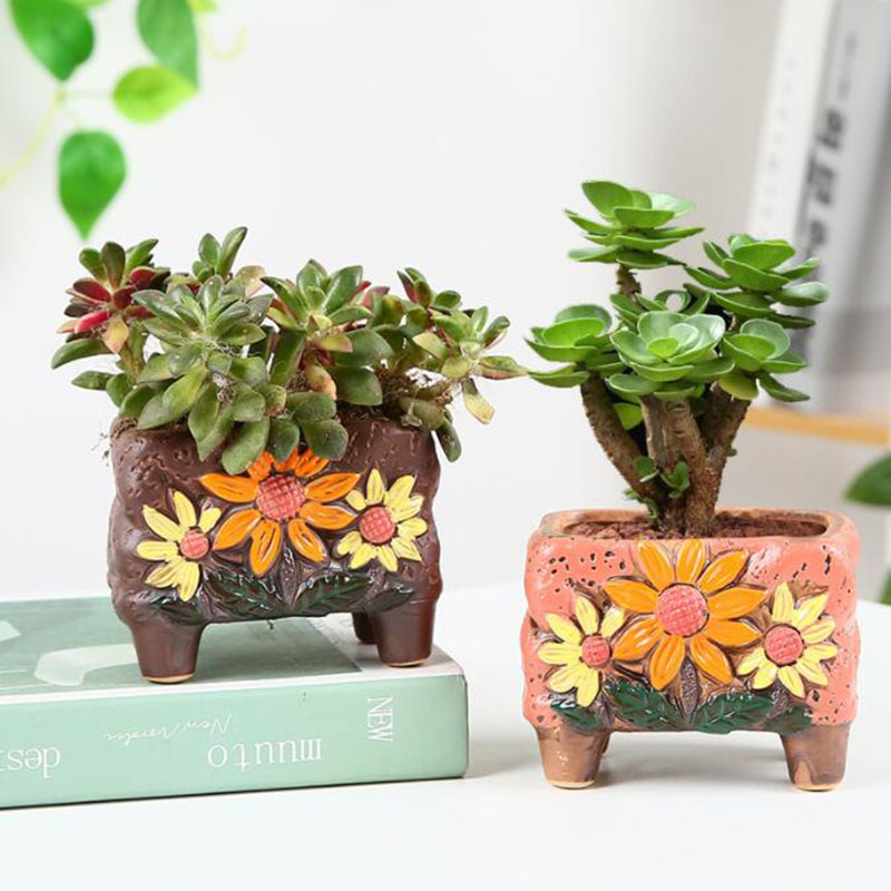 Korean Style Succulent Plant P - Korean Desk Setup บทวิจารณ์และราคา